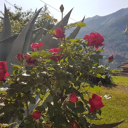 莫尔特拉西奥Flora公寓 外观 照片