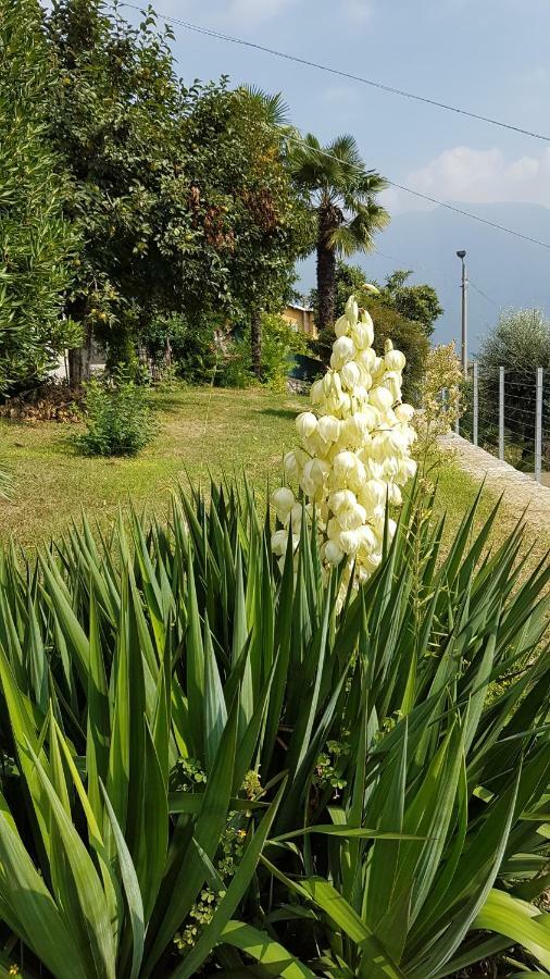莫尔特拉西奥Flora公寓 外观 照片